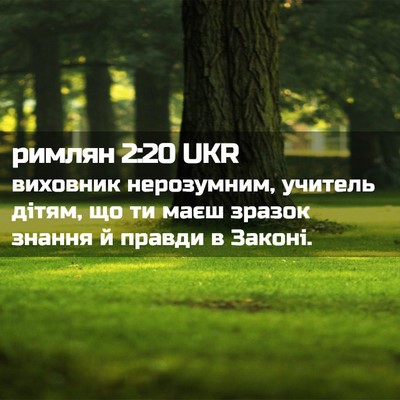 Picture 02 - римлян 2:20 UKR - виховник нерозумним, - Bible Verse Picture