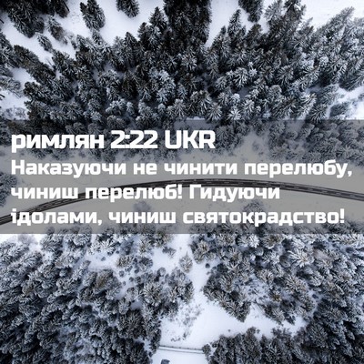 Picture 02 - римлян 2:22 UKR - Наказуючи не чинити - Bible Verse Picture