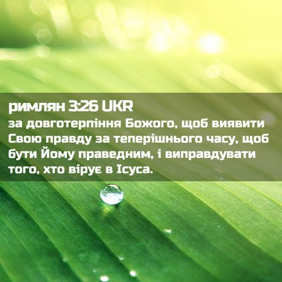 Picture 02 - римлян 3:26 UKR - за довготерпіння Божого, - Bible Verse Picture