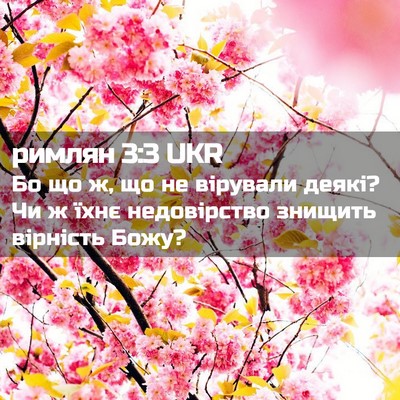 Picture 02 - римлян 3:3 UKR - Бо що ж, що не вірували - Bible Verse Picture