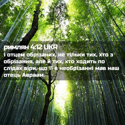 Picture 02 - римлян 4:12 UKR - і отцем обрізаних, не - Bible Verse Picture