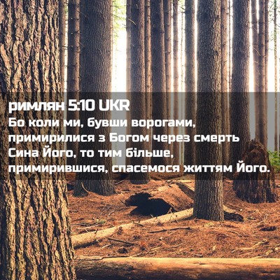 Picture 02 - римлян 5:10 UKR - Бо коли ми, бувши ворогами, - Bible Verse Picture