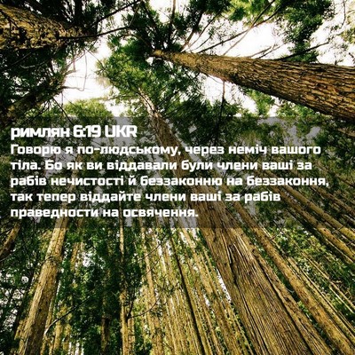 Picture 02 - римлян 6:19 UKR - Говорю я по-людському, - Bible Verse Picture