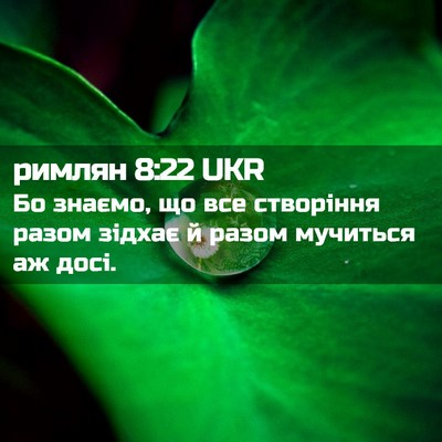 Picture 02 - римлян 8:22 UKR - Бо знаємо, що все створіння - Bible Verse Picture