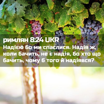 Picture 02 - римлян 8:24 UKR - Надією бо ми спаслися. - Bible Verse Picture