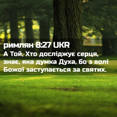 Picture 02 - римлян 8:27 UKR - А Той, Хто досліджує серця, - Bible Verse Picture