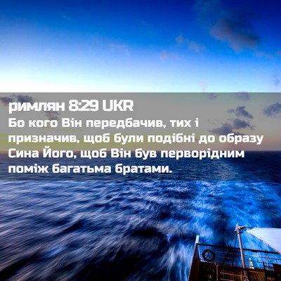 Picture 02 - римлян 8:29 UKR - Бо кого Він передбачив, тих - Bible Verse Picture