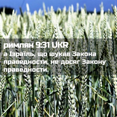 Picture 02 - римлян 9:31 UKR - а Ізраїль, що шукав Закона - Bible Verse Picture