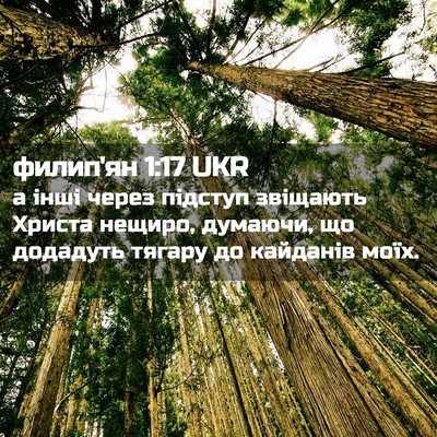 Picture 02 - филип'ян 1:17 UKR - а інші через підступ - Bible Verse Picture