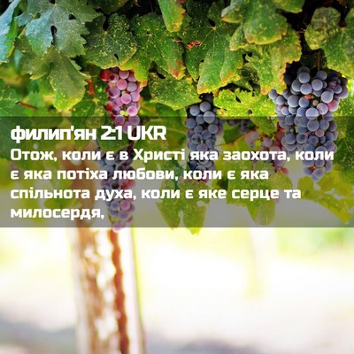 Picture 02 - филип'ян 2:1 UKR - Отож, коли є в Христі яка - Bible Verse Picture