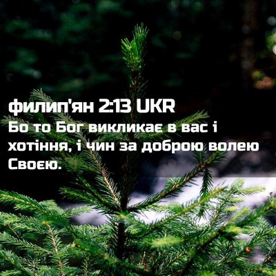 Picture 02 - филип'ян 2:13 UKR - Бо то Бог викликає в вас і - Bible Verse Picture