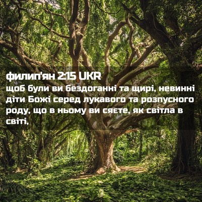 Picture 02 - филип'ян 2:15 UKR - щоб були ви бездоганні та - Bible Verse Picture