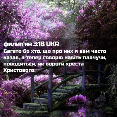 Picture 02 - филип'ян 3:18 UKR - Багато бо хто, що про них я - Bible Verse Picture