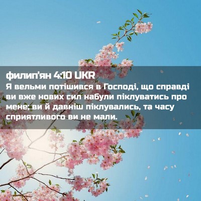 Picture 02 - филип'ян 4:10 UKR - Я вельми потішився в - Bible Verse Picture