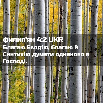 Picture 02 - филип'ян 4:2 UKR - Благаю Еводію, благаю й - Bible Verse Picture
