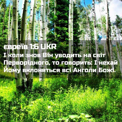 Picture 02 - євреїв 1:6 UKR - І коли знов Він уводить на - Bible Verse Picture