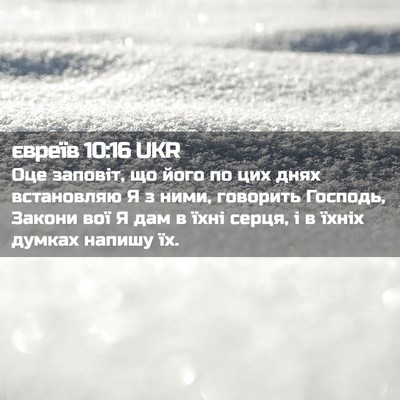 Picture 02 - євреїв 10:16 UKR - Оце заповіт, що його по цих - Bible Verse Picture