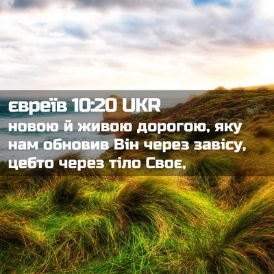 Picture 02 - євреїв 10:20 UKR - новою й живою дорогою, яку - Bible Verse Picture