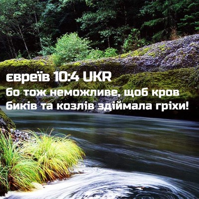 Picture 02 - євреїв 10:4 UKR - бо тож неможливе, щоб кров - Bible Verse Picture