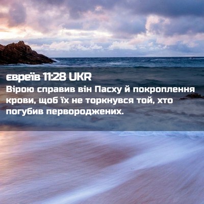 Picture 02 - євреїв 11:28 UKR - Вірою справив він Пасху й - Bible Verse Picture