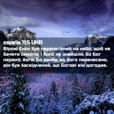 Picture 02 - євреїв 11:5 UKR - Вірою Енох був перенесений - Bible Verse Picture