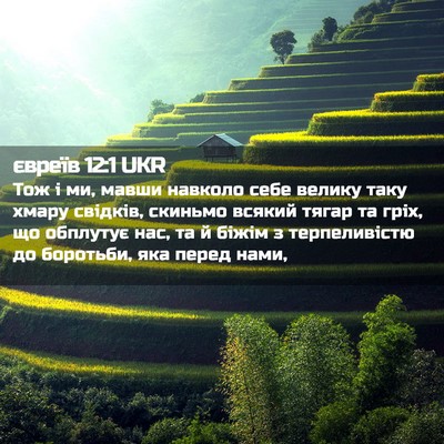 Picture 02 - євреїв 12:1 UKR - Тож і ми, мавши навколо - Bible Verse Picture