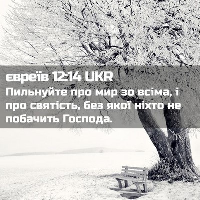 Picture 02 - євреїв 12:14 UKR - Пильнуйте про мир зо всіма, - Bible Verse Picture