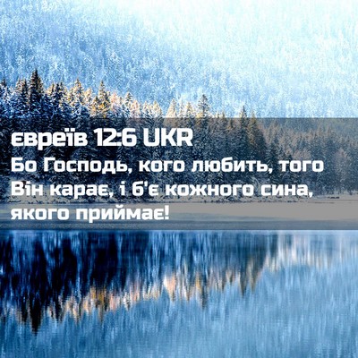 Picture 02 - євреїв 12:6 UKR - Бо Господь, кого любить, - Bible Verse Picture