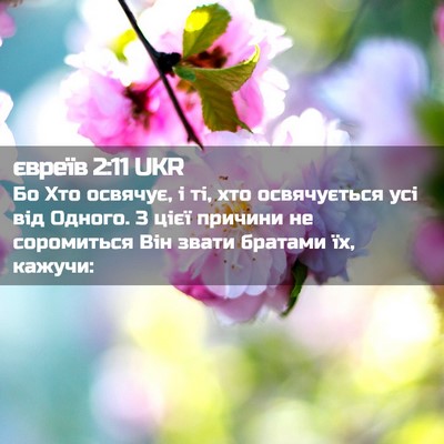Picture 02 - євреїв 2:11 UKR - Бо Хто освячує, і ті, хто - Bible Verse Picture