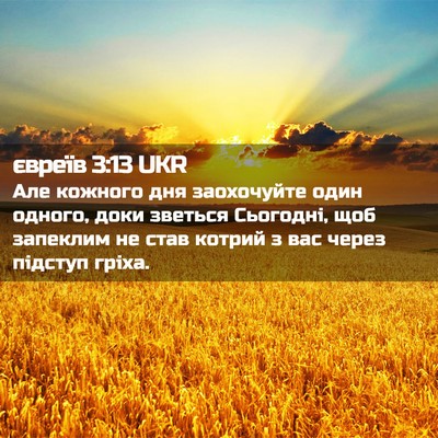 Picture 02 - євреїв 3:13 UKR - Але кожного дня заохочуйте - Bible Verse Picture