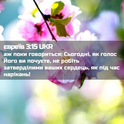 Picture 02 - євреїв 3:15 UKR - аж поки говориться: - Bible Verse Picture
