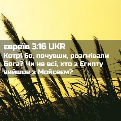 Picture 02 - євреїв 3:16 UKR - Котрі бо, почувши, - Bible Verse Picture
