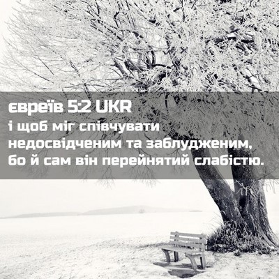 Picture 02 - євреїв 5:2 UKR - і щоб міг співчувати - Bible Verse Picture