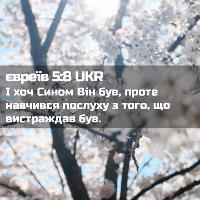 Picture 02 - євреїв 5:8 UKR - І хоч Сином Він був, проте - Bible Verse Picture