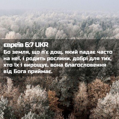 Picture 02 - євреїв 6:7 UKR - Бо земля, що п'є дощ, який - Bible Verse Picture