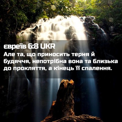 Picture 02 - євреїв 6:8 UKR - Але та, що приносить терня - Bible Verse Picture