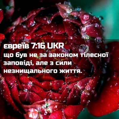 Picture 02 - євреїв 7:16 UKR - що був не за законом - Bible Verse Picture