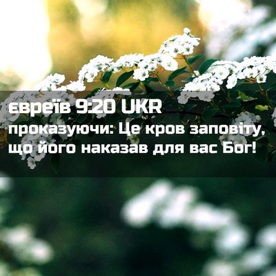 Picture 02 - євреїв 9:20 UKR - проказуючи: Це кров - Bible Verse Picture