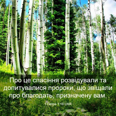 Picture 03 - 1 Петра 1:10 UKR - Про це спасіння - Bible Verse Picture