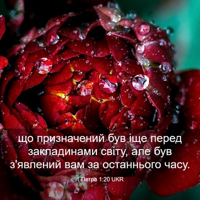 Picture 03 - 1 Петра 1:20 UKR - що призначений був іще - Bible Verse Picture