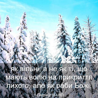 Picture 03 - 1 Петра 2:16 UKR - як вільні, а не як ті, що - Bible Verse Picture
