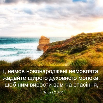 Picture 03 - 1 Петра 2:2 UKR - і, немов новонароджені - Bible Verse Picture