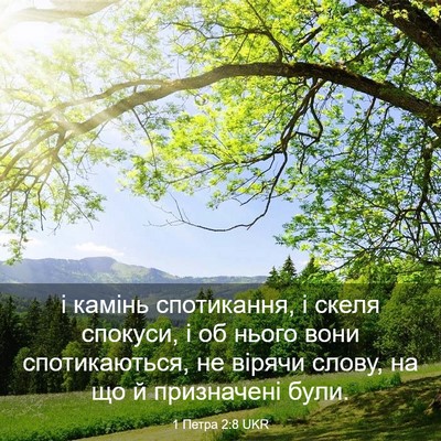 Picture 03 - 1 Петра 2:8 UKR - і камінь спотикання, і - Bible Verse Picture