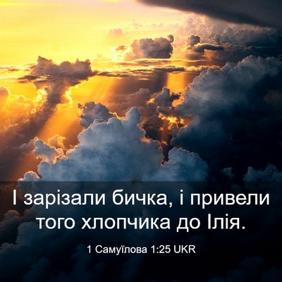 Picture 03 - 1 Самуїлова 1:25 UKR - І зарізали бичка, і привели - Bible Verse Picture