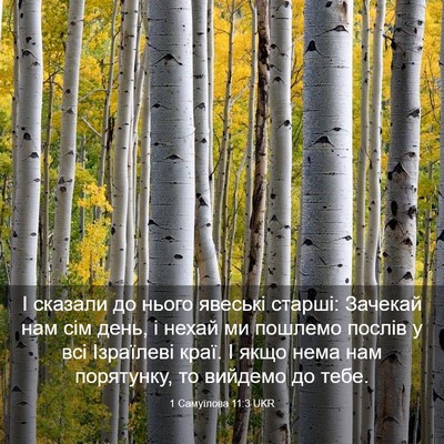 Picture 03 - 1 Самуїлова 11:3 UKR - І сказали до нього явеські - Bible Verse Picture