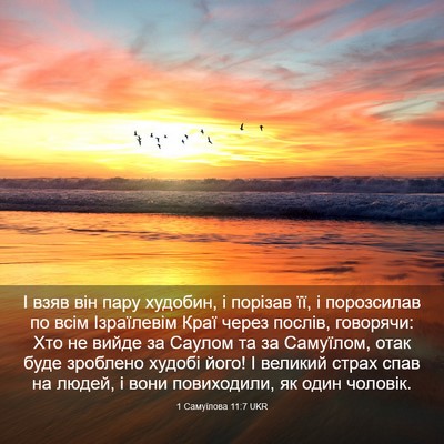 Picture 03 - 1 Самуїлова 11:7 UKR - І взяв він пару худобин, і - Bible Verse Picture