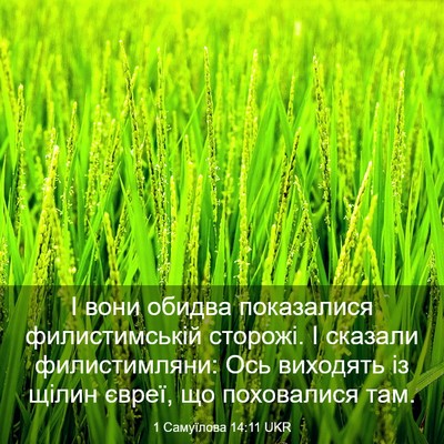 Picture 03 - 1 Самуїлова 14:11 UKR - І вони обидва показалися - Bible Verse Picture