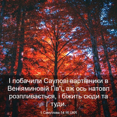 Picture 03 - 1 Самуїлова 14:16 UKR - І побачили Саулові - Bible Verse Picture