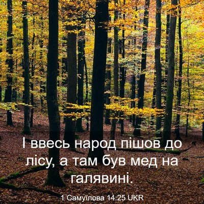 Picture 03 - 1 Самуїлова 14:25 UKR - І ввесь народ пішов до - Bible Verse Picture