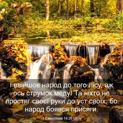 Picture 03 - 1 Самуїлова 14:26 UKR - І ввійшов народ до того - Bible Verse Picture